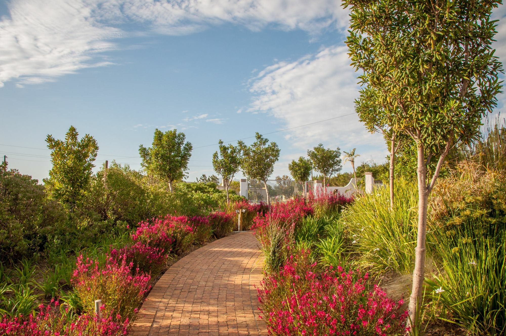 Wind-Rose Guest House Gordonsbaai Buitenkant foto