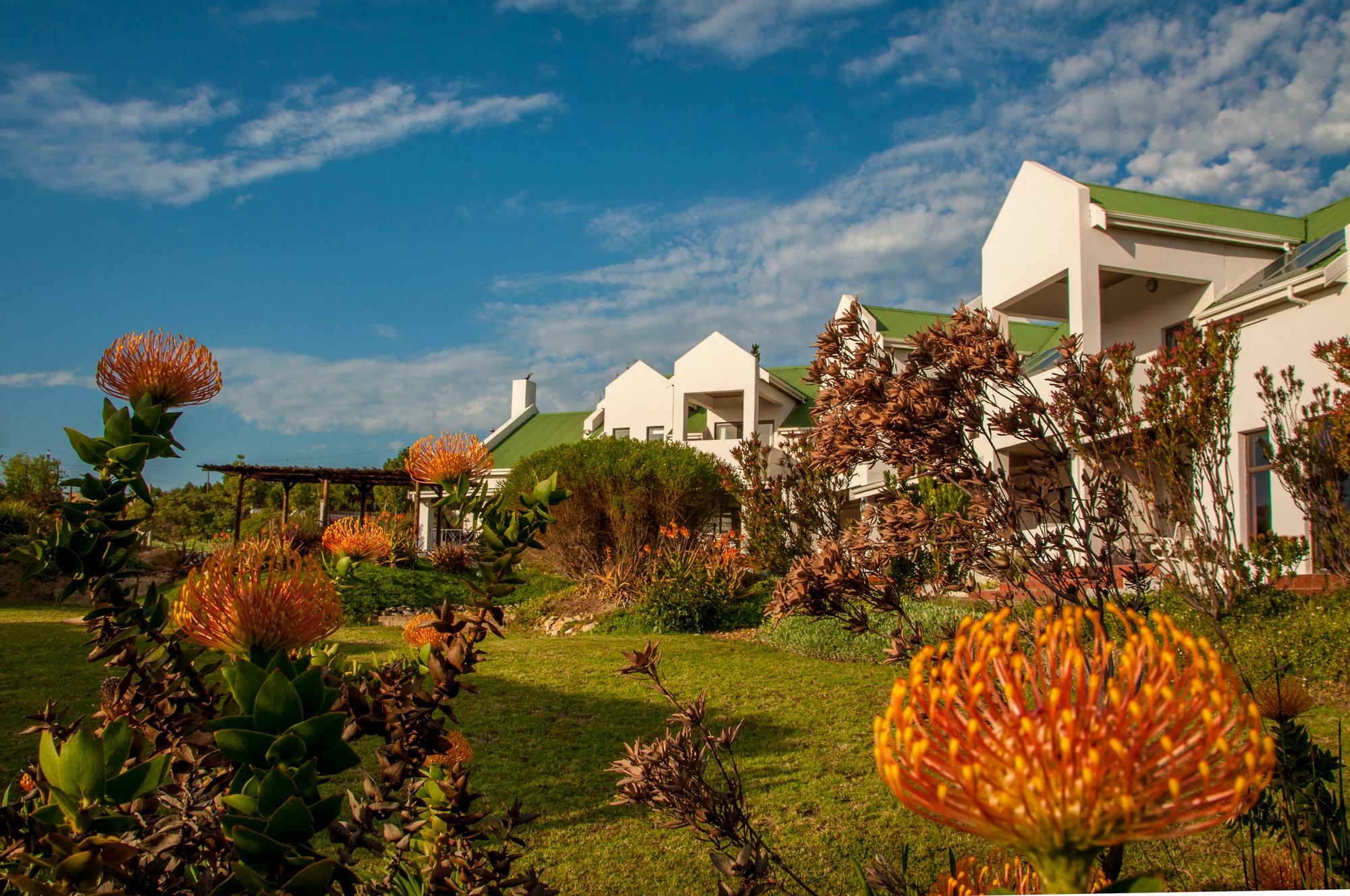 Wind-Rose Guest House Gordonsbaai Buitenkant foto