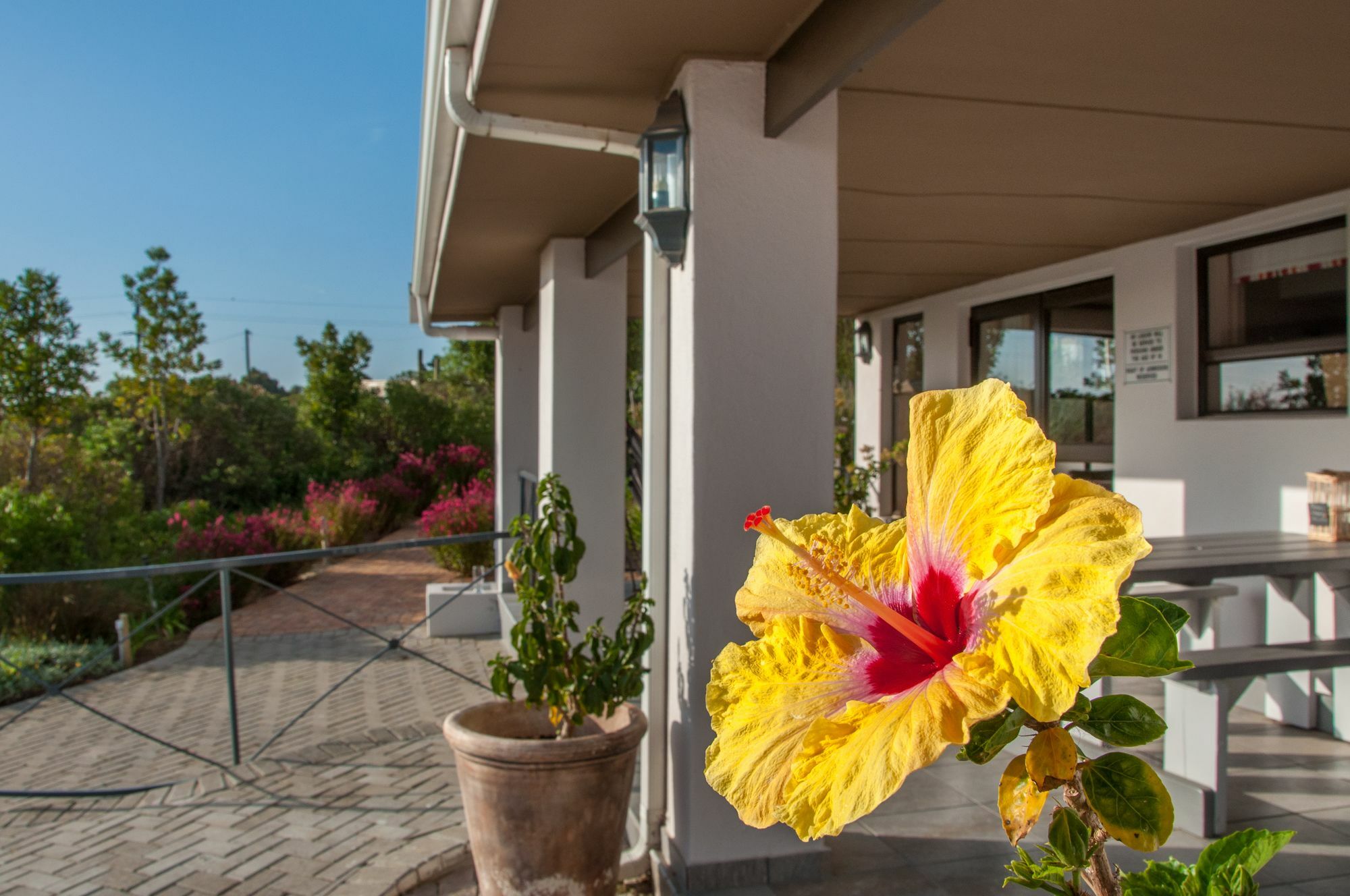 Wind-Rose Guest House Gordonsbaai Buitenkant foto